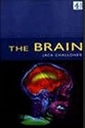 The Brain