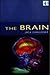 The Brain (Equinox)
