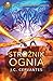 Strażnik ognia by J.C. Cervantes
