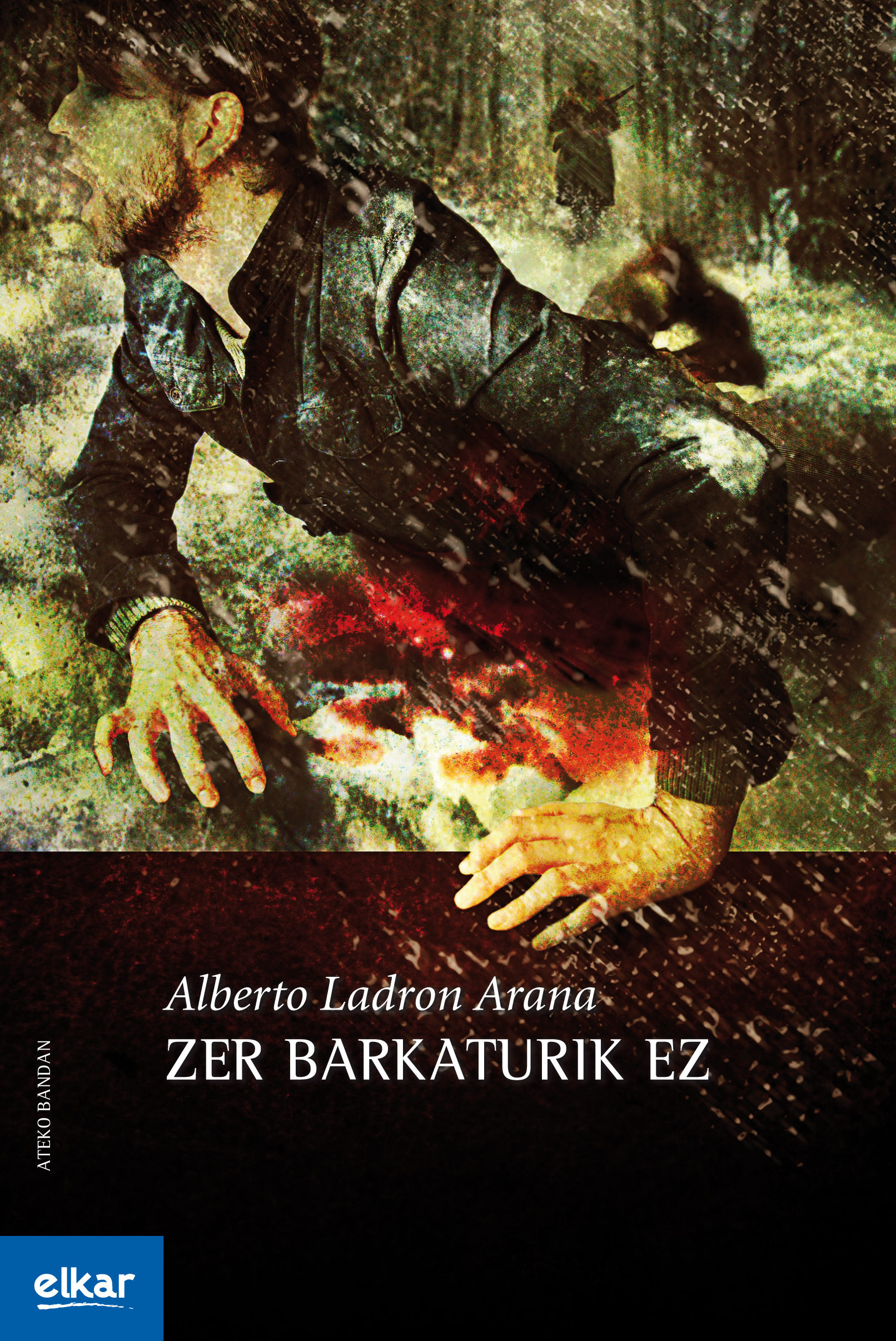 Zer barkaturik ez (Paperback)