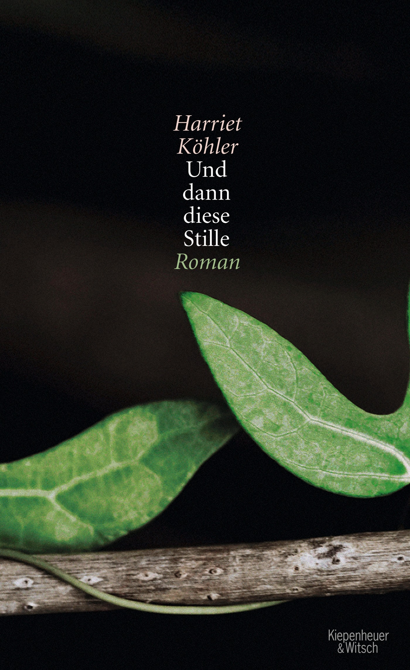 Und dann diese Stille (Hardcover)