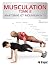 Musculation 2 : Anatomie et mouvements