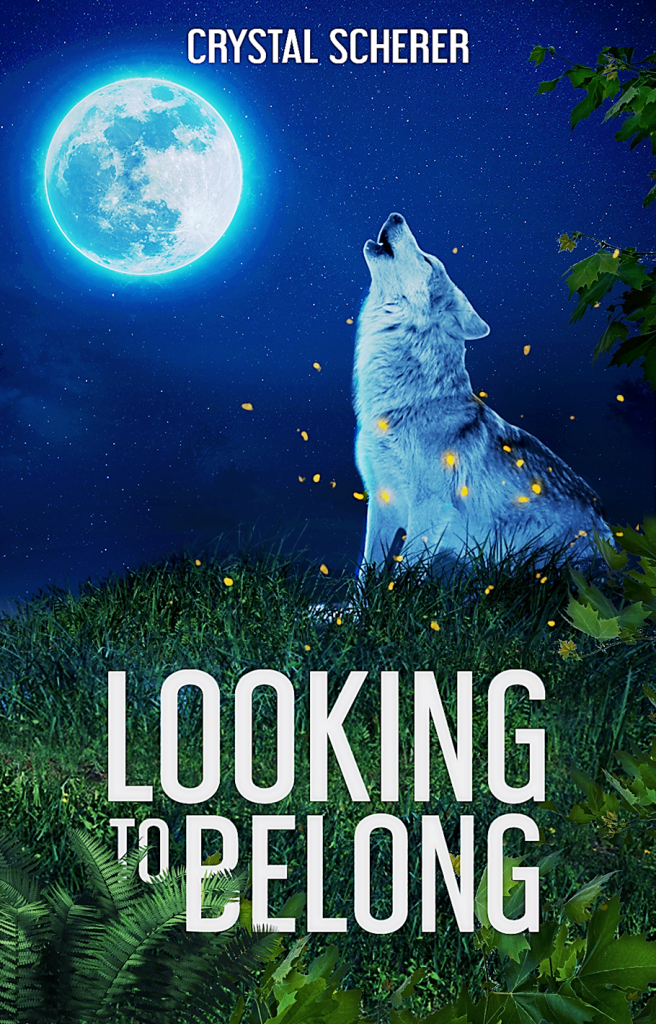 Looking To Belong (ebook)