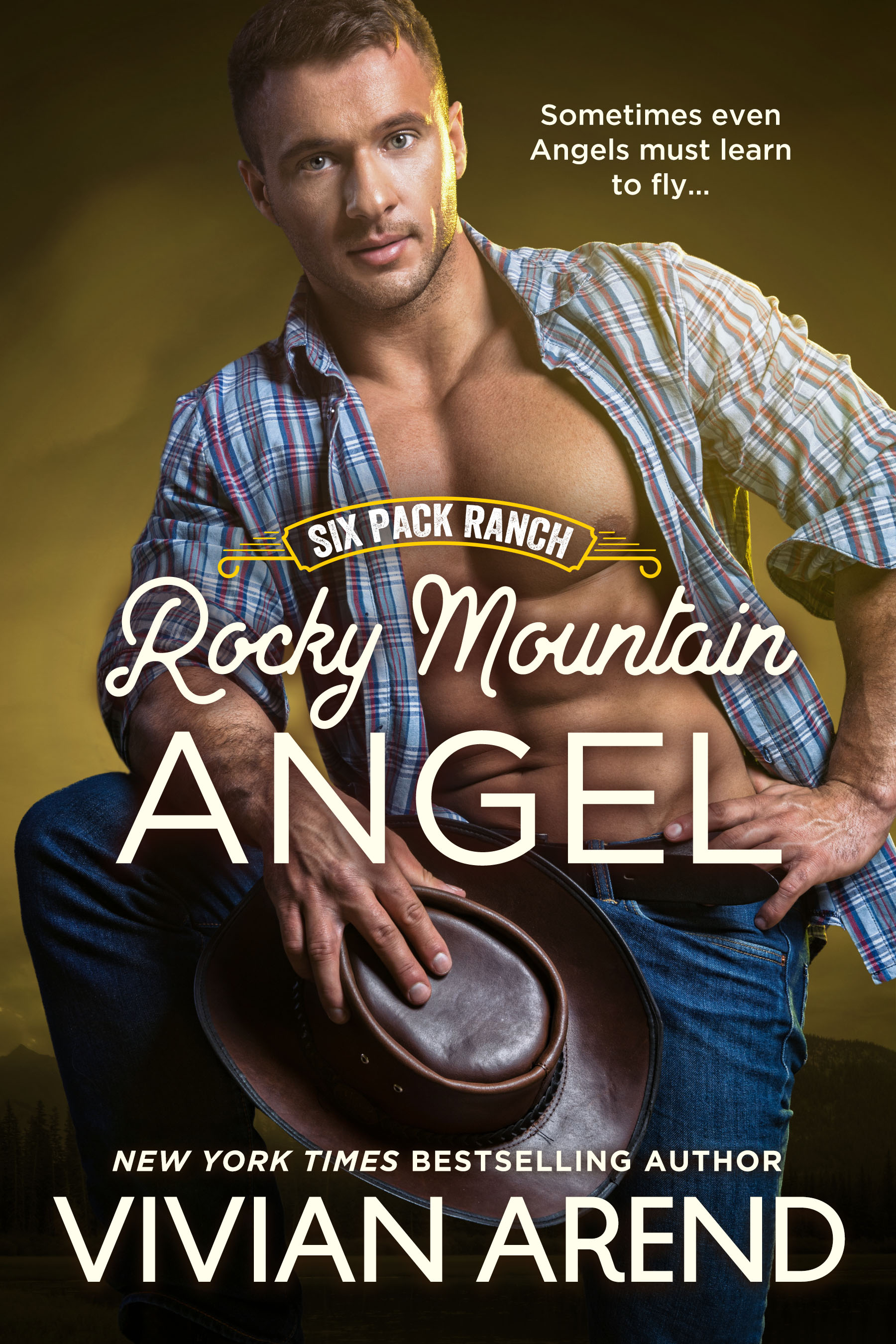 Rocky Mountain Angel (Six Pack Ranch, #4; Rocky Mountain House, #4)