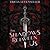 The Shadows Between Us (The Shadows Between Us, #1)