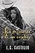 La Promessa di un Cowboy Parte 2 (Strong & Wilde #2)