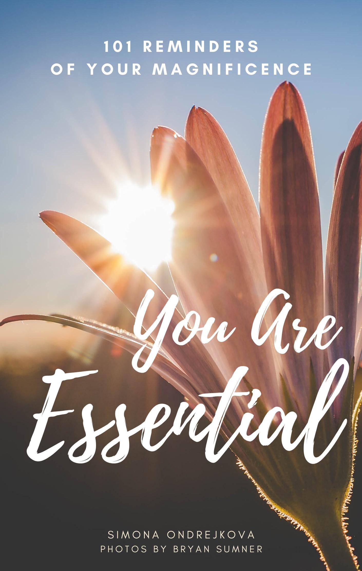 You Are Essential: 101 Reminders of Your Magnificence