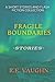 Fragile Boundaries