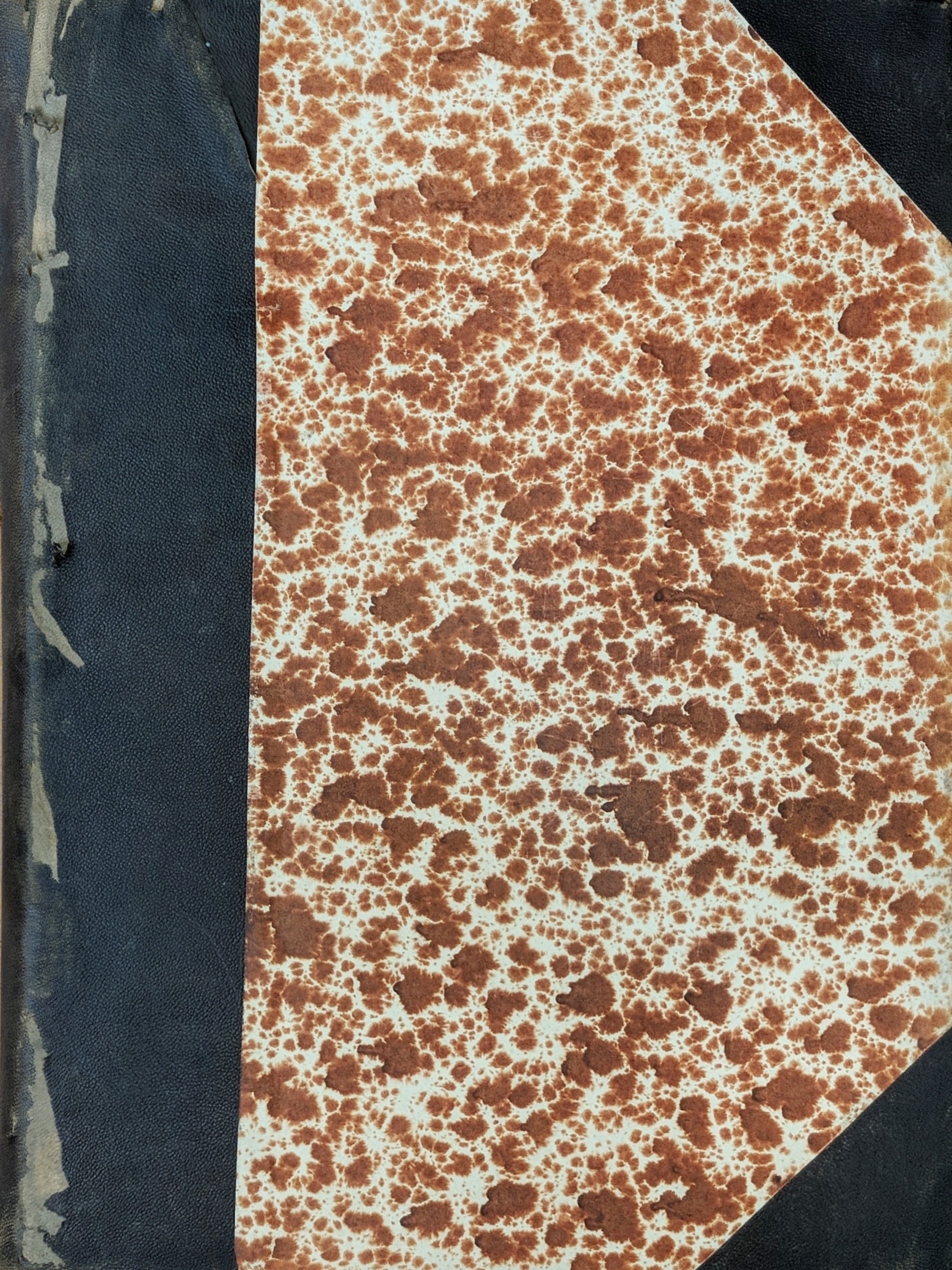 L'illustration (Tome CXLIX)