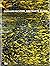 Gerhard Richter: Abstrakte Bilder (German Edition)