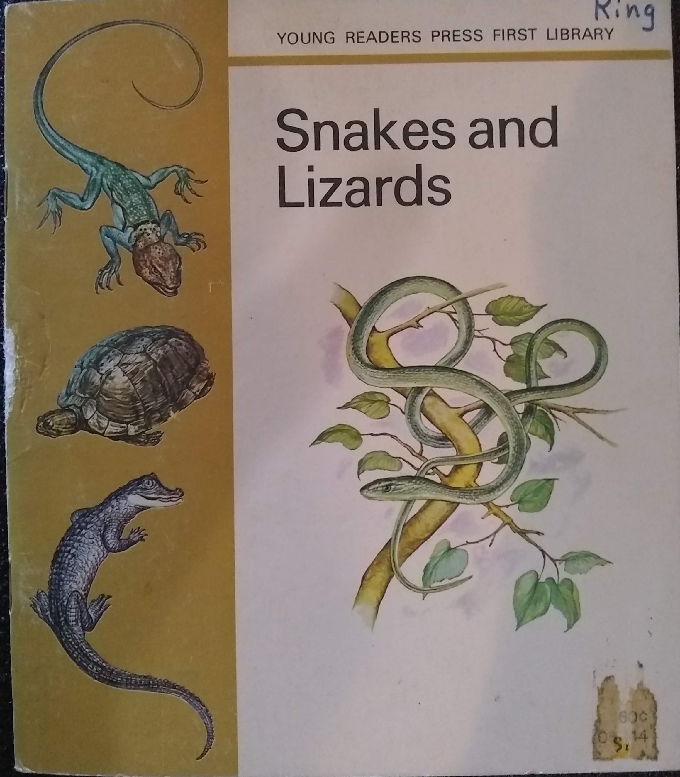 Young Readers Press First Library Snakes and Lizards