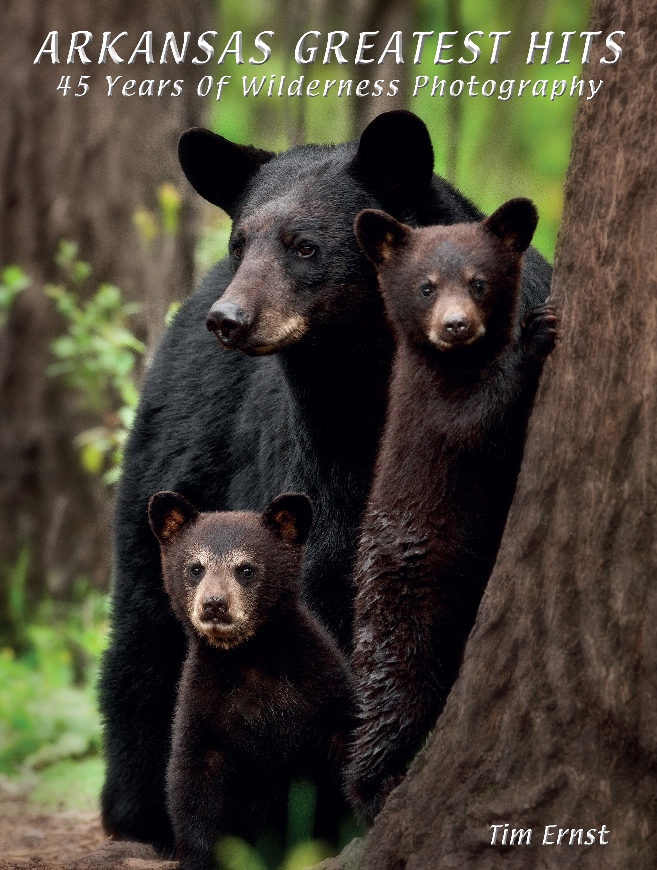 Arkansas Greatest Hits: 45 Years Of Wilderness Photography (Hardcover)