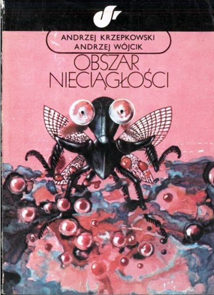 Obszar nieciągłości