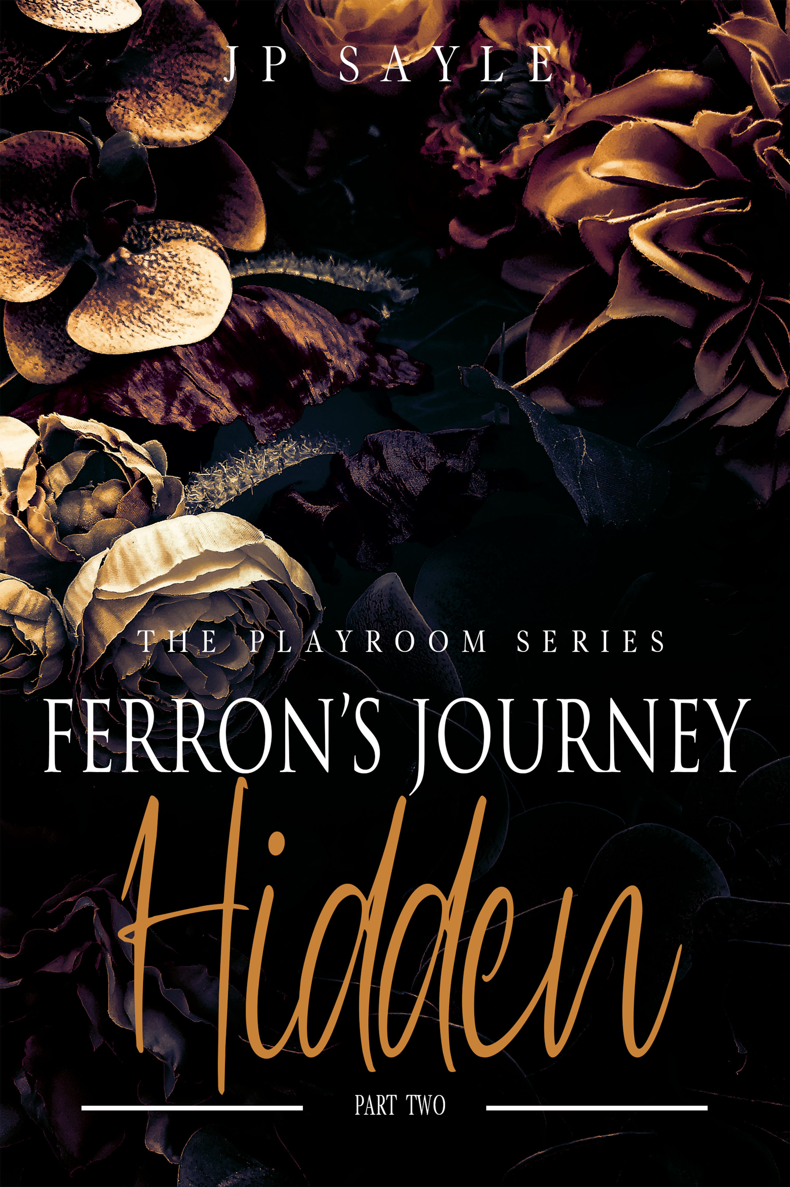 Hidden: Ferron’s Journey Part Two (The Playroom #5)