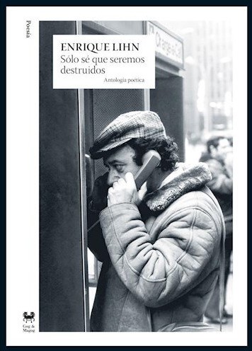Sólo sé que seremos destruidos (Paperback)