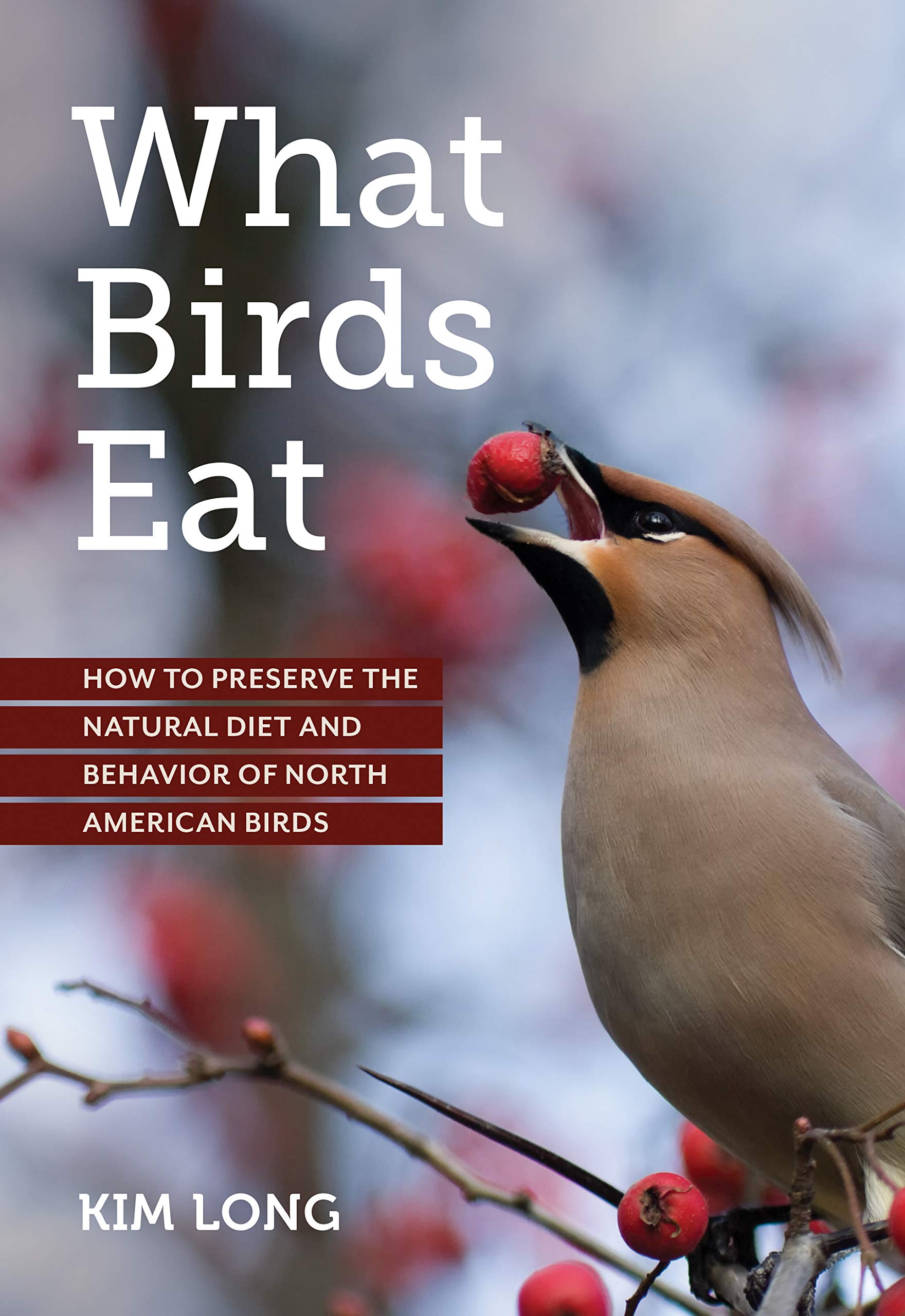 What Birds Eat: How to Preserve the Natural Diet and Behavior of North American Birds (Paperback)