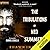 The Tribulations of Ned Summers (Middle Falls Time Travel, #9)
