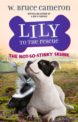 The Not-So-Stinky Skunk (Lily to the Rescue! #3)