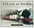 Steam at Work: Preserved In...