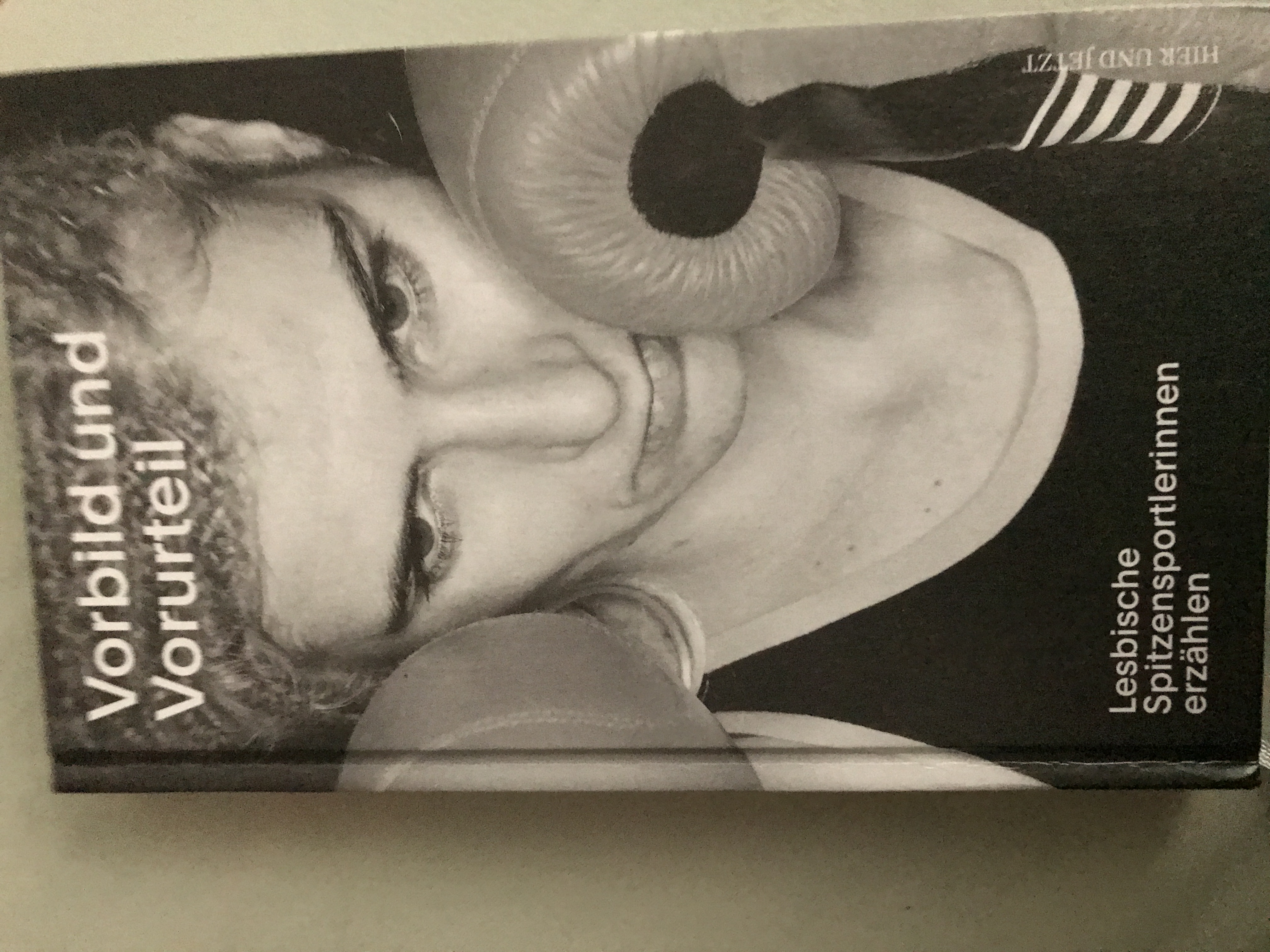 Vorbild und Vorurteil (Hardcover)