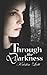 Through the Darkness by Kristin Lott