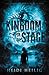 A Kingdom for a Stage: An Asian-Inspired Young Adult Fantasy of War, Blood Magic, and Rebellion (Shadow Players, 2)