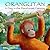 Orangutan A Day in the Rainforest Canopy by Rita Goldner