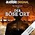 Der böse Ort (Rivers of London #4)