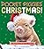 Pocket Piggies: Christmas!