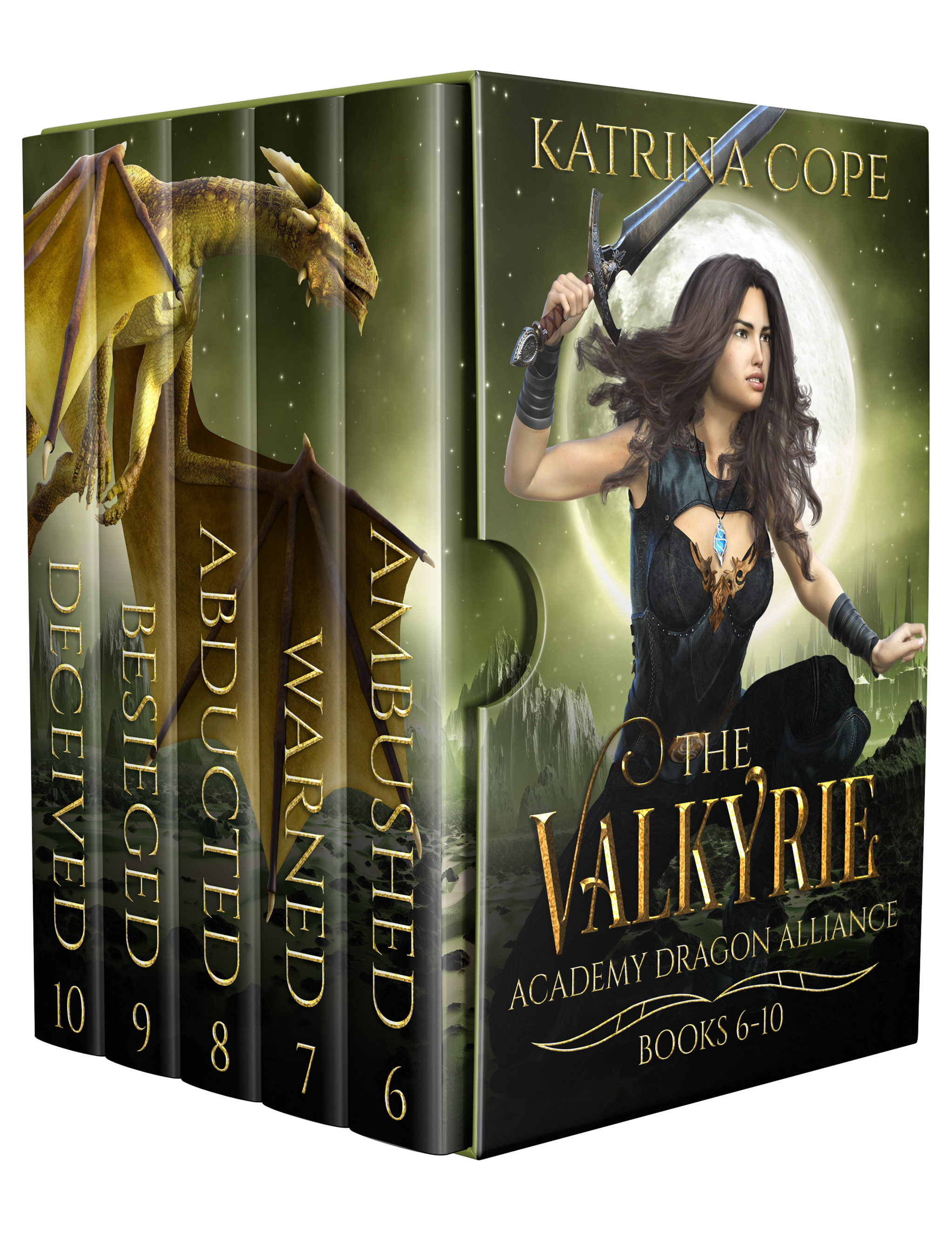 Valkyrie Academy Dragon Alliance: Collection Books 6-10