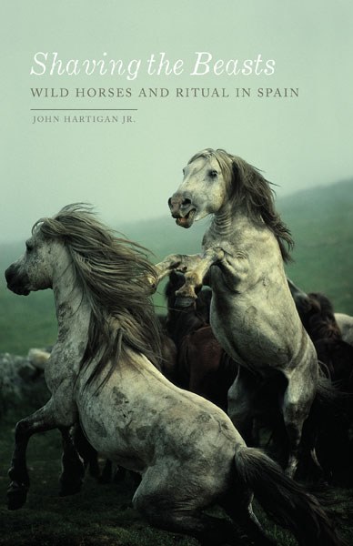Shaving the Beasts. Wild Horses and Ritual in Spain (Paperback)