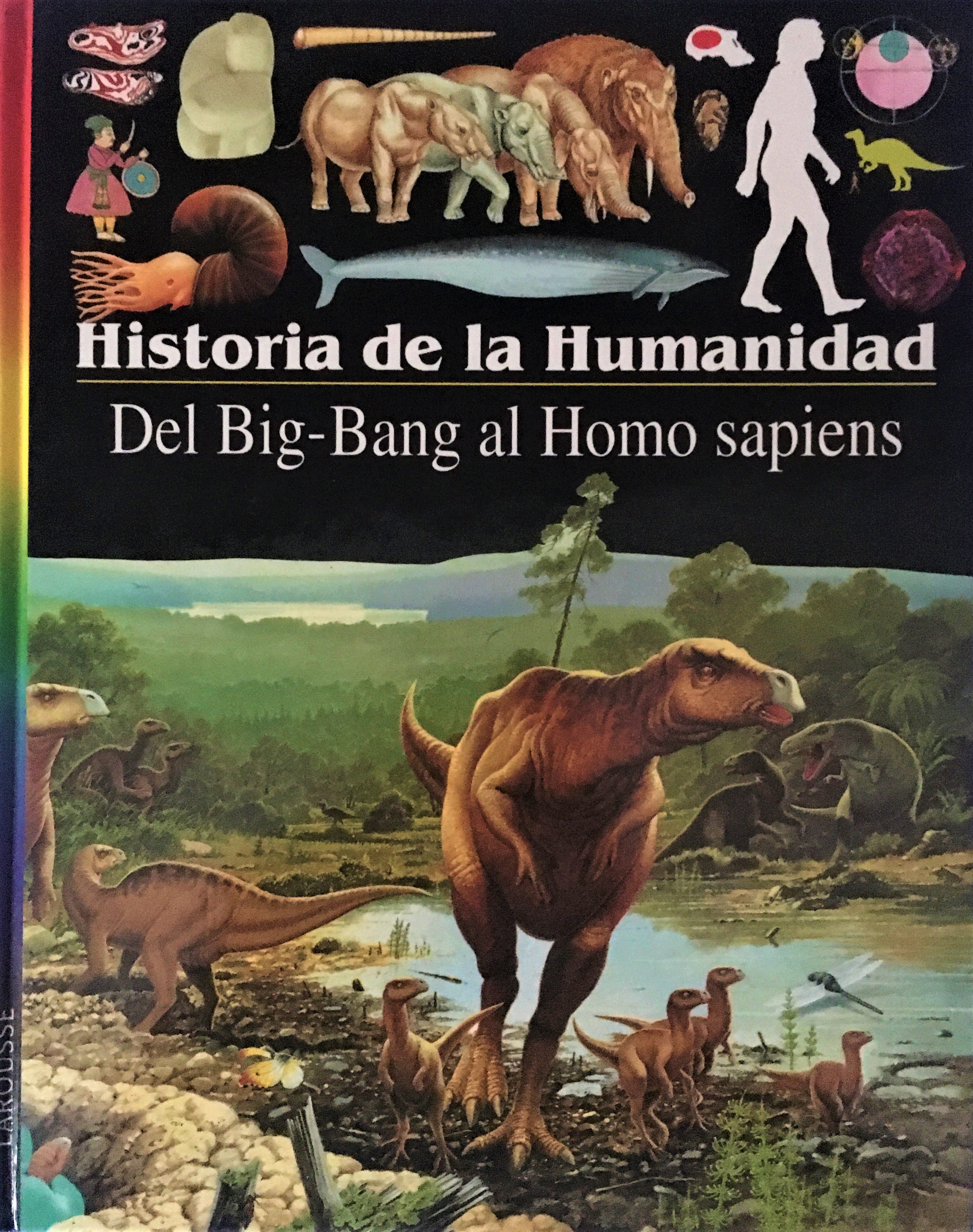 Del Big Bang al Homo sapiens (Historia de la humanidad, #1)