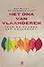 Het DNA van Vlaanderen. Wat willen de Vlamingen écht? by Ivan de Vadder