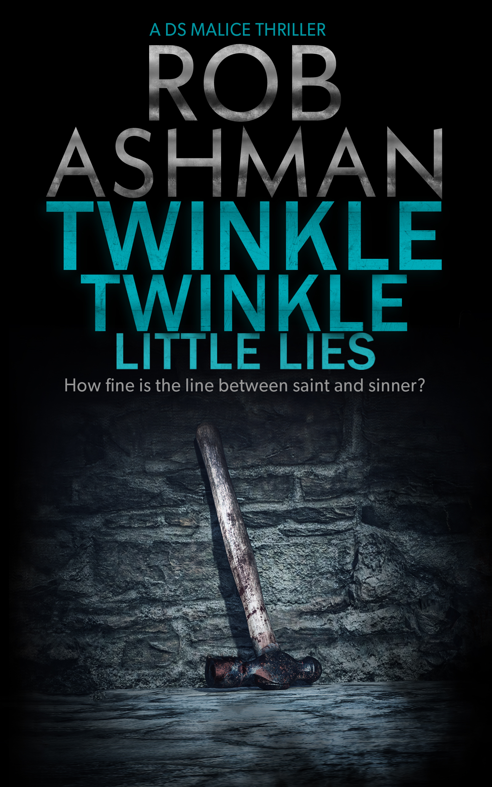 Twinkle Twinkle Little Lies: How fine is the line between saint and sinner? (DS Malice Book 2)