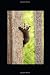 Write and Draw Journal For ...