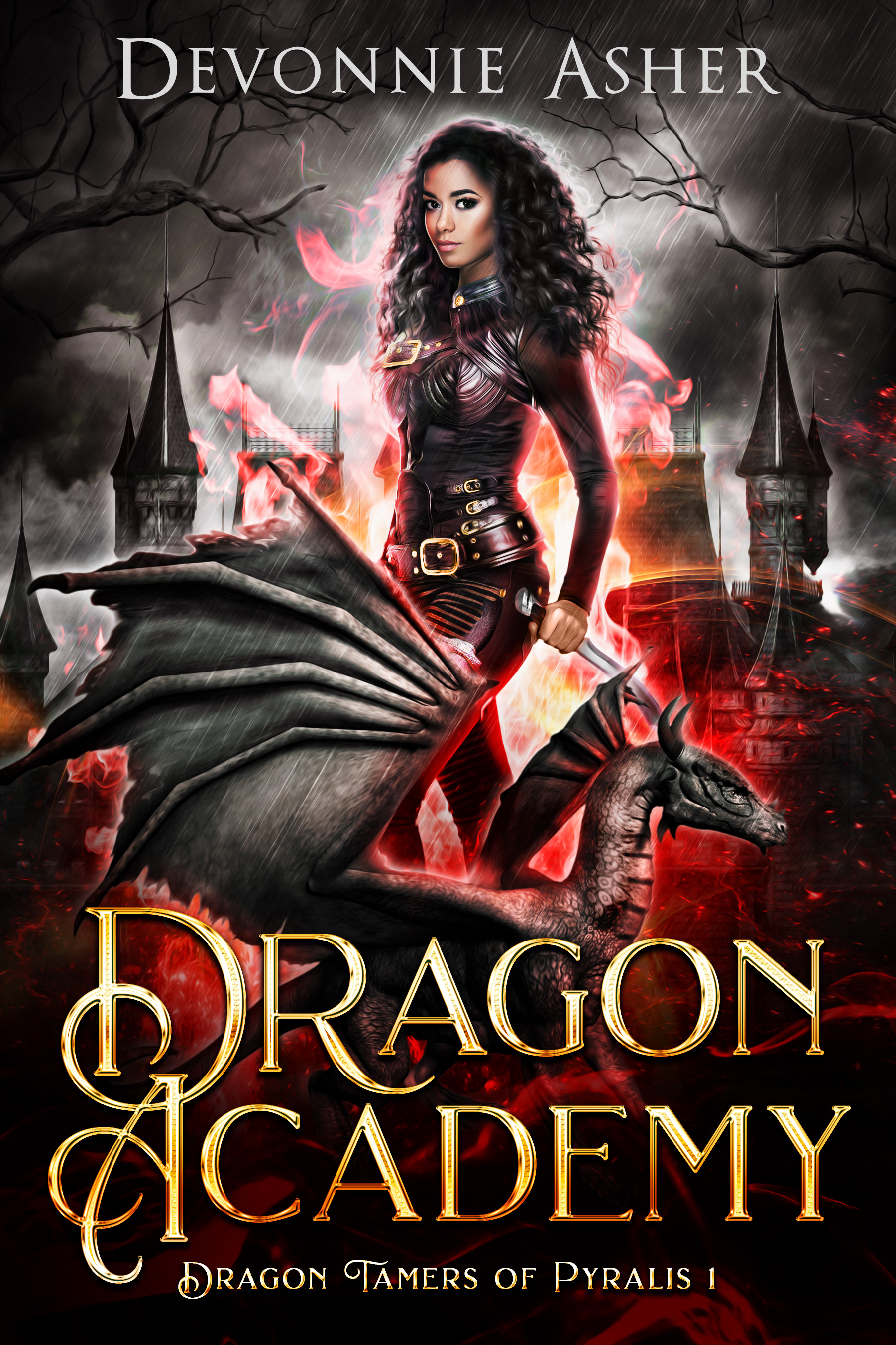 Dragon Academy (Dragon Tamers of Pyralis, #1)