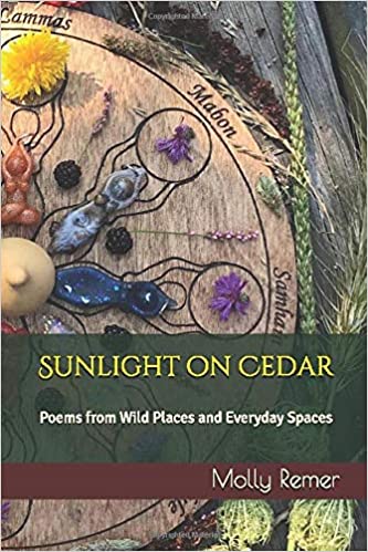 Sunlight On Cedar: Poems from Wild Places and Everyday Spaces (Unknown Binding)