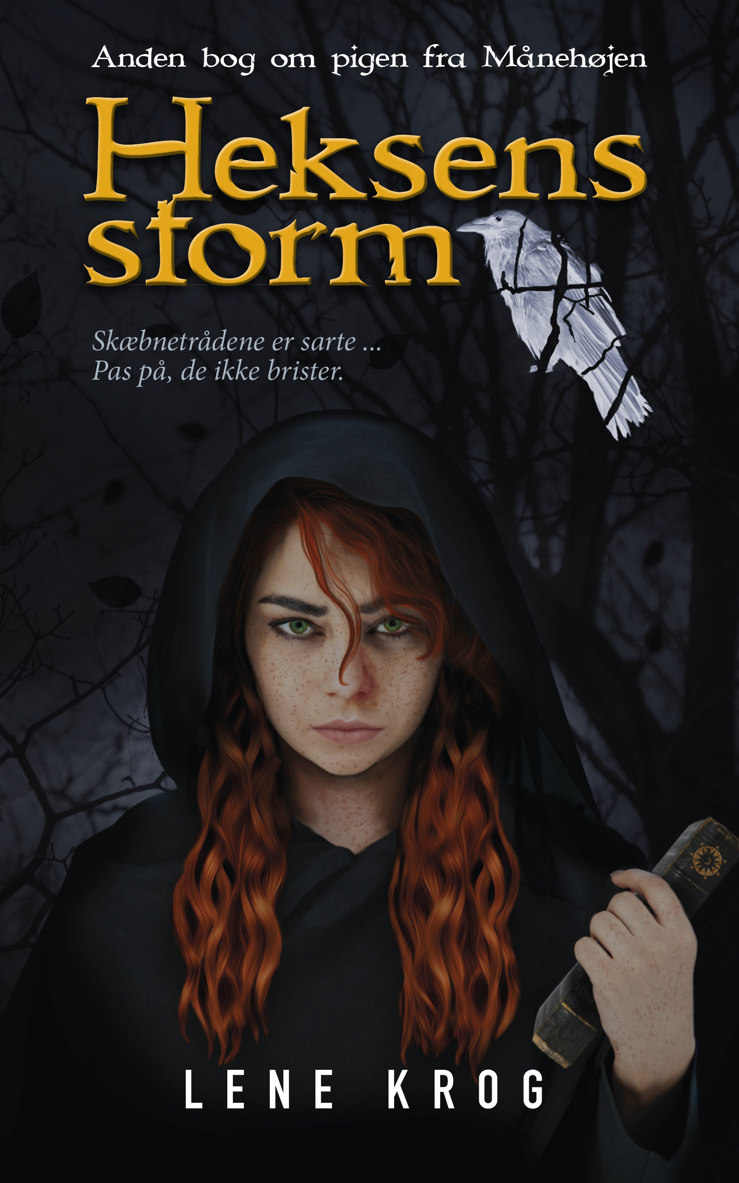 Heksens storm (Pigen fra Månehøjen, #2)