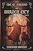 The Brazen City (The 13th Paladin #3)