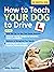 How to Teach your Dog to Drive