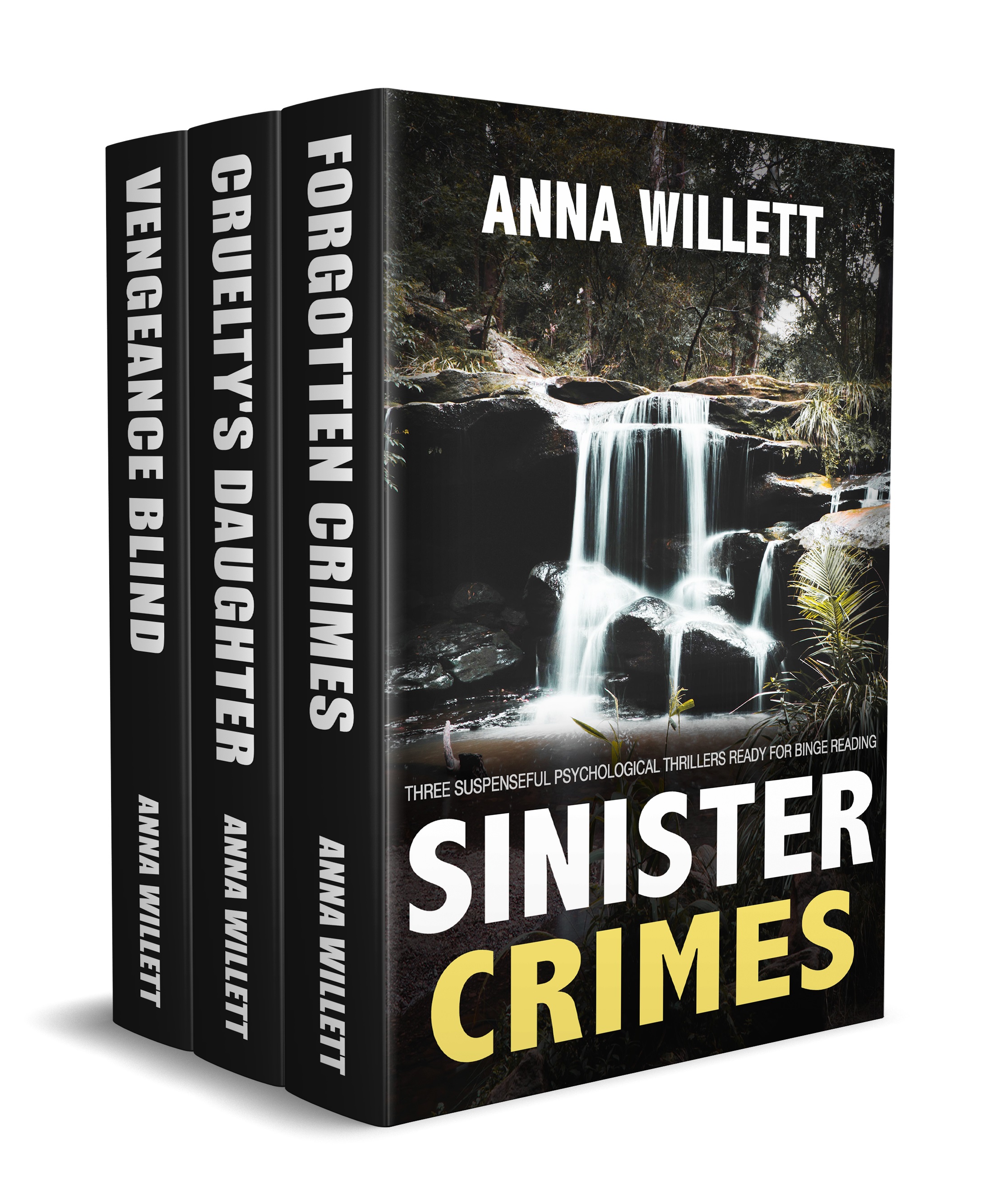 Sinister Crimes (Kindle Edition)