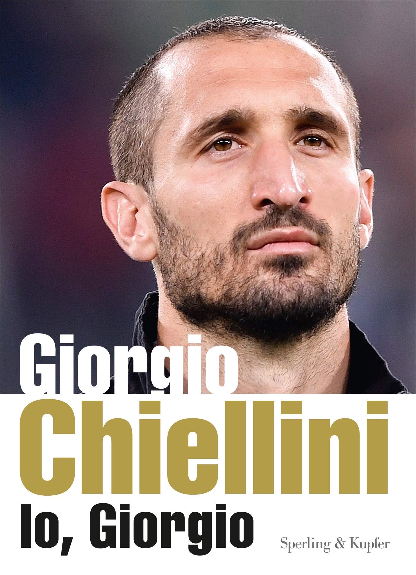 Il difensore perfetto (Paperback)