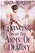 Dancing into the Arms of Destiny by Aria Norton