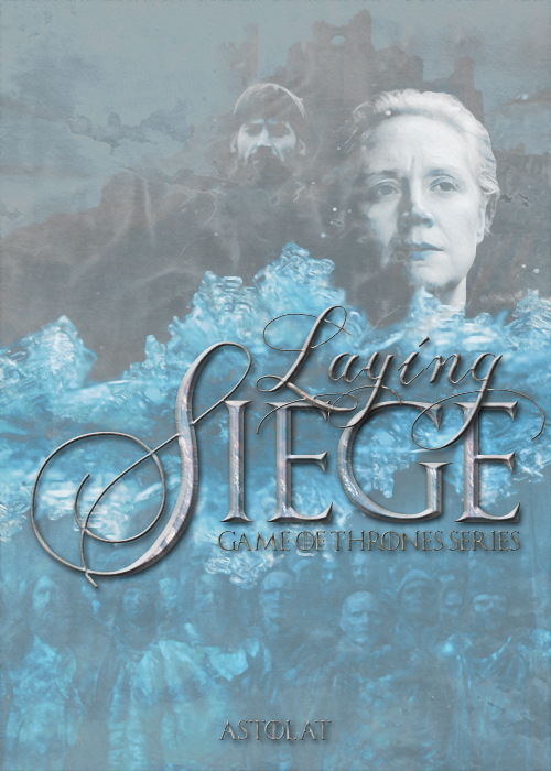 Laying Siege (ebook)