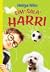 Sim-sala-Harri