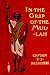 In the Grip of the Mullah: A Tale of Adventure in Somaliland (Classic Reprint)