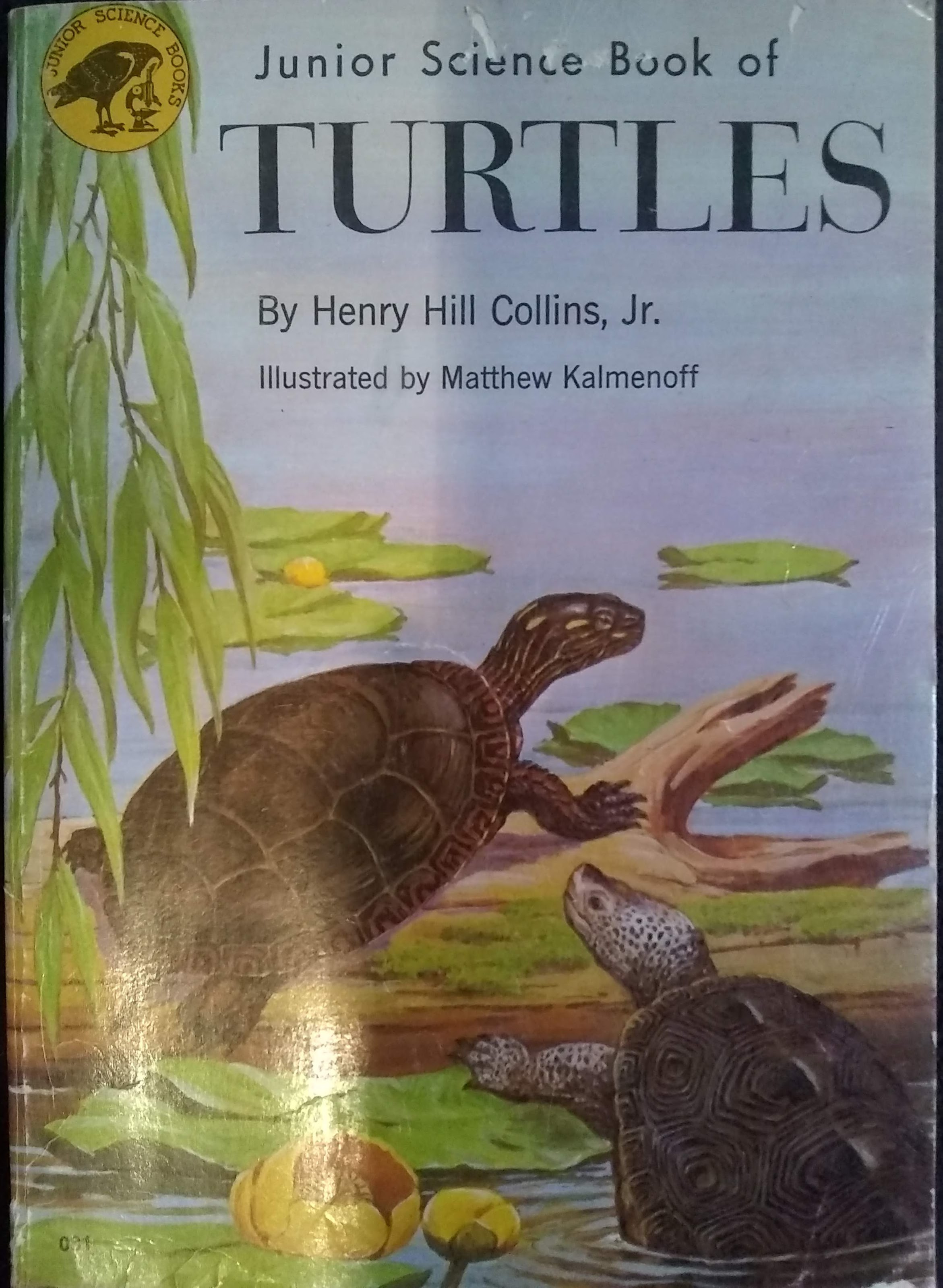 Junior Science Book of Turtles (Paperback)