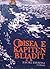 Odisea e kapiten Blladit