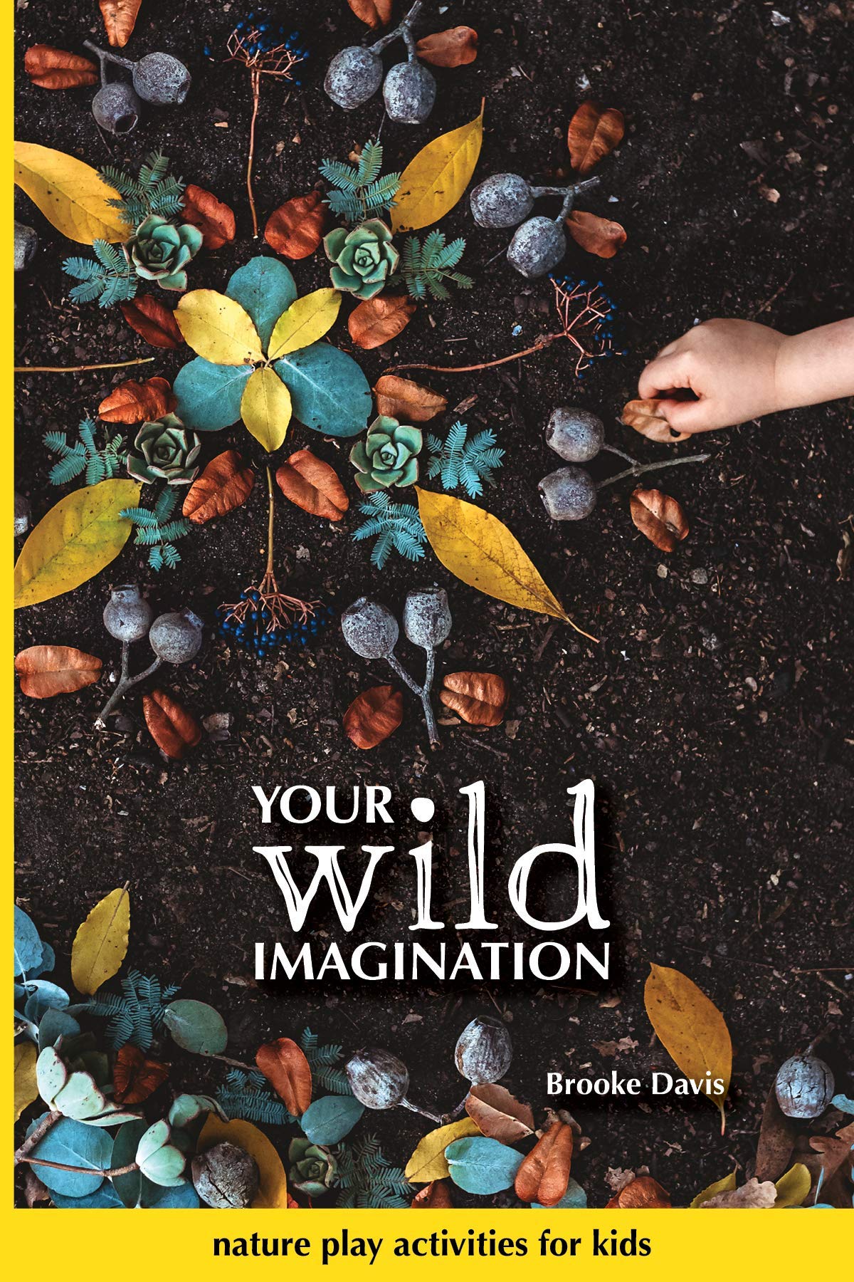 Your Wild Imagination: nature play activities for kids (Hardcover)