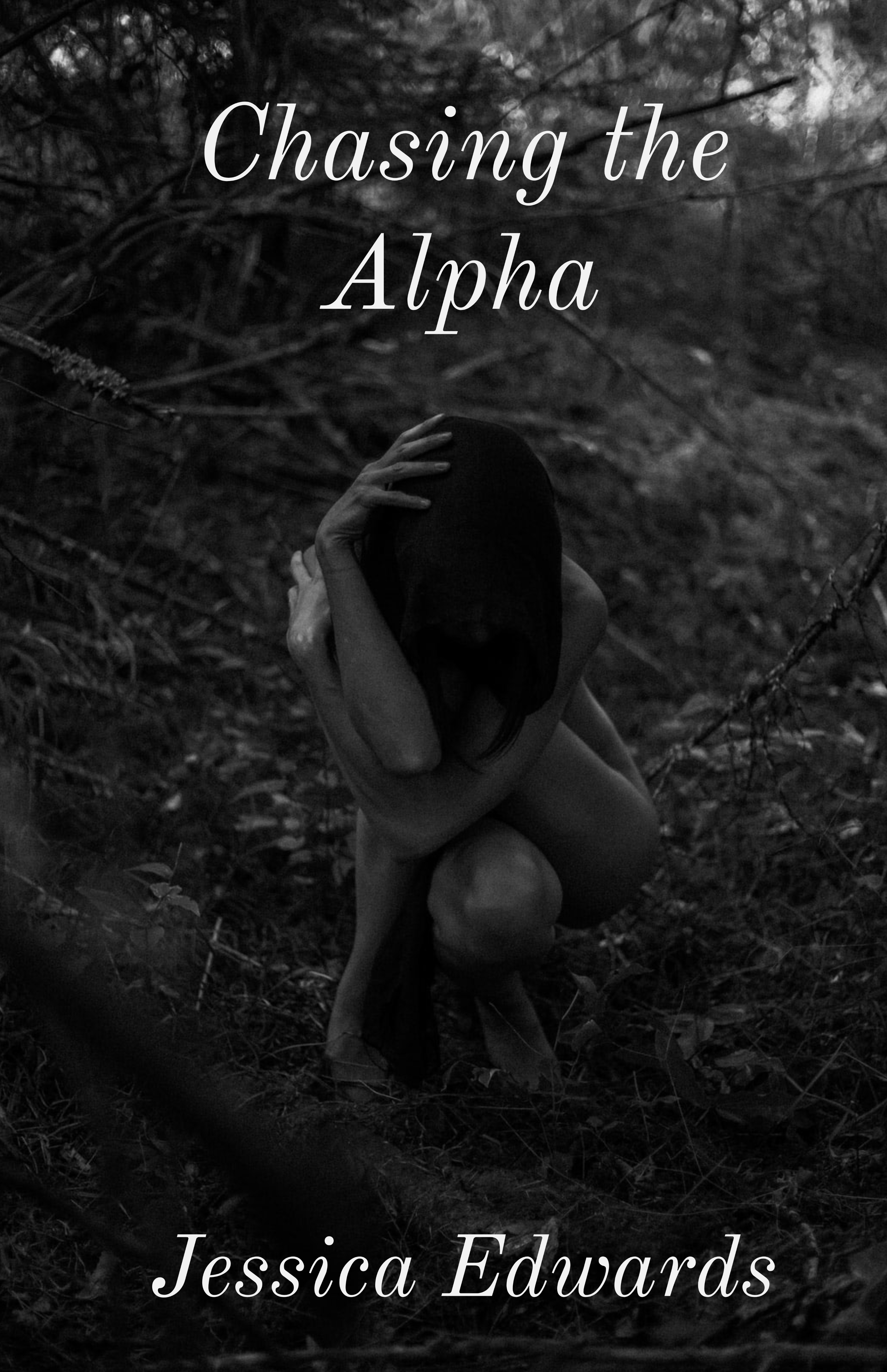 Chasing the Alpha (Small Town, #3)